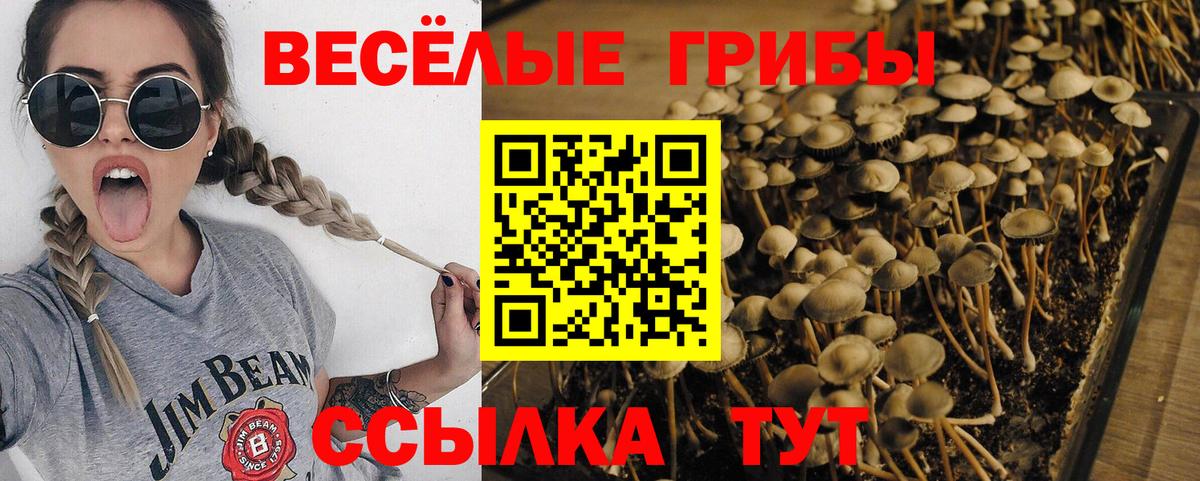 Галлюциногенные грибы GOLDEN TEACHER  Вход с VPN  Еманжелинск 